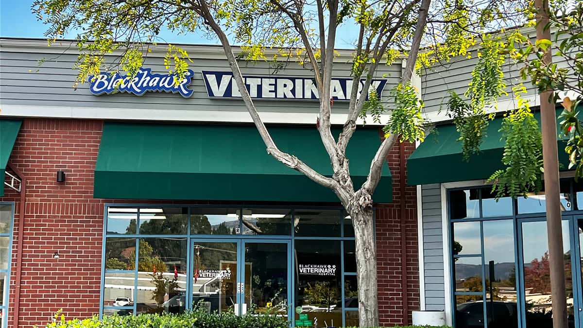 Exterior of Blackhawk Veterinary Hospital in Danville, California, host of dog dental cleaning by Animal Dental Care.